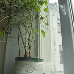 Otel Exempel Schlafstuben Und Quartier Langer Hals 3*