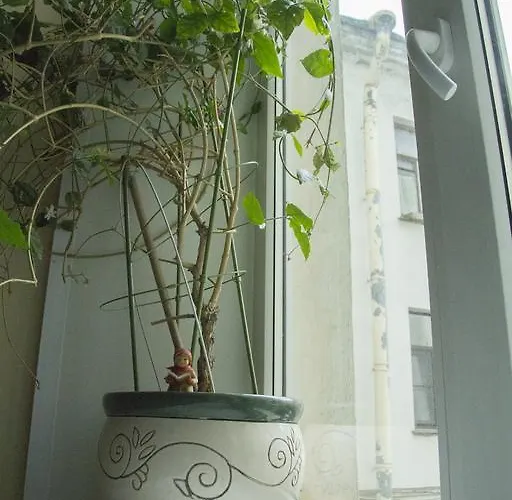 Hotell Exempel Schlafstuben Und Quartier Langer Hals 3*